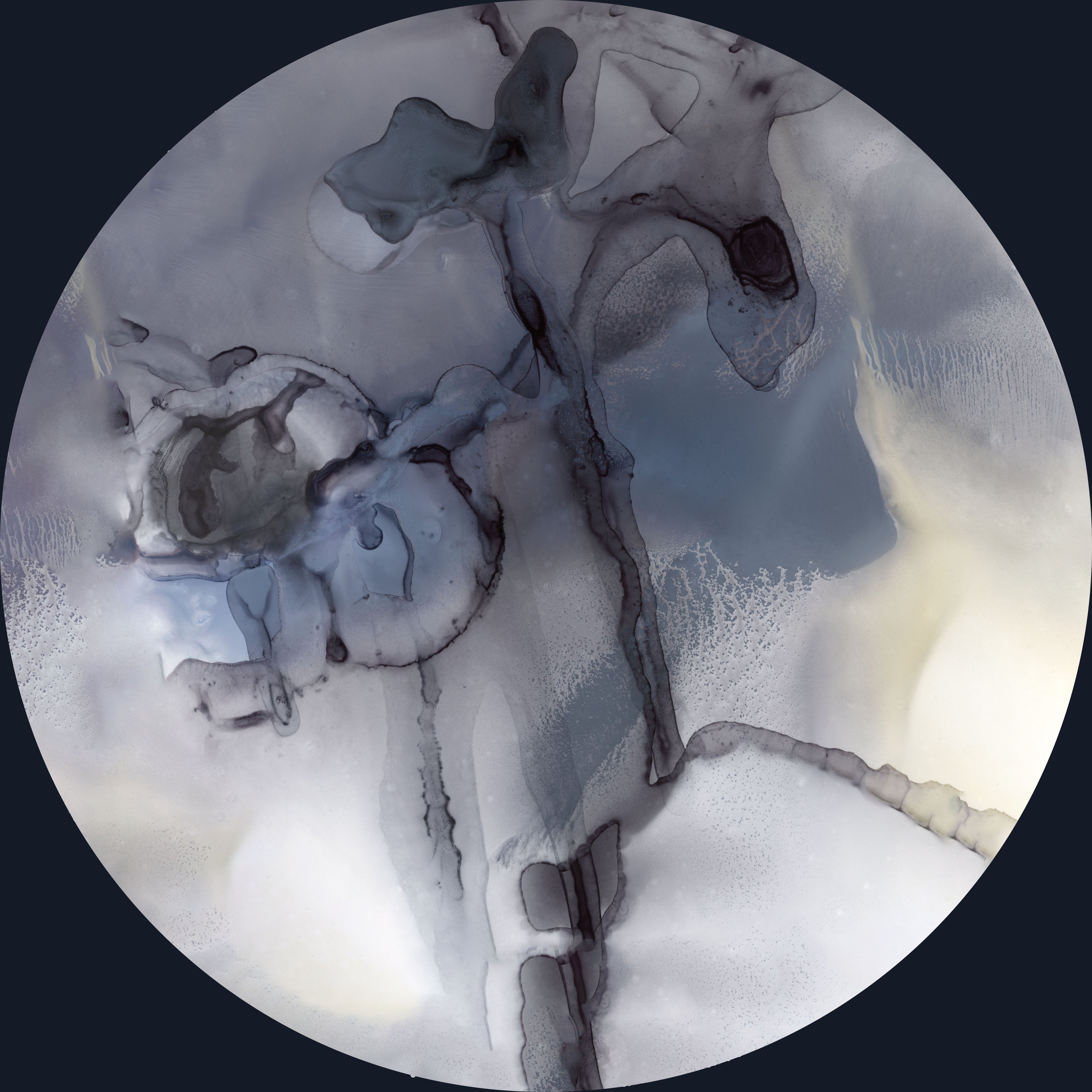 Under The Moon