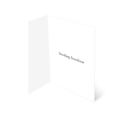 Solar Lunar Stationary