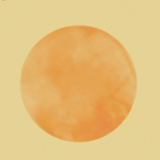 Solar Flow Silk Scarf - Radiant Yellow