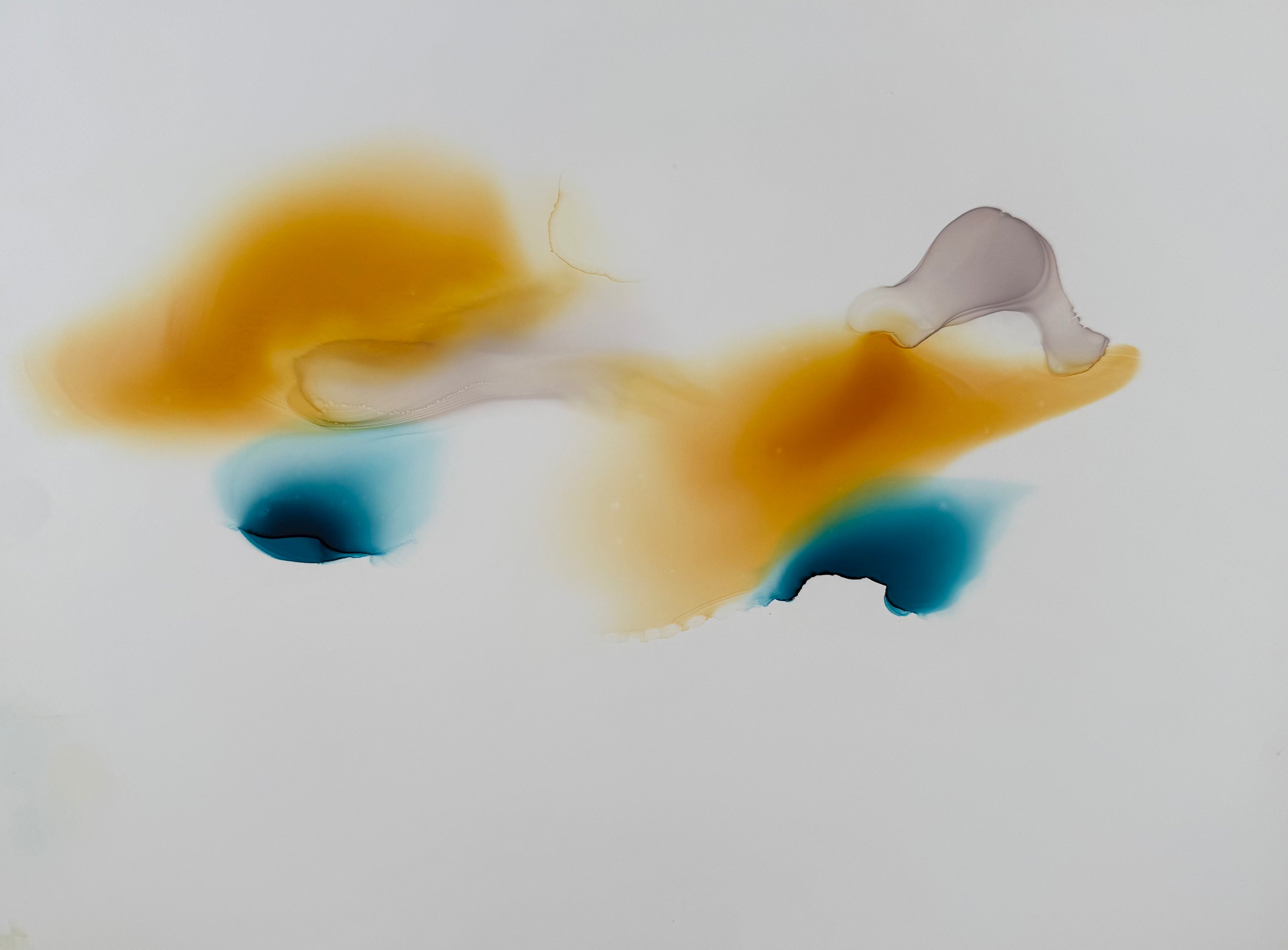 Yellow & Blue